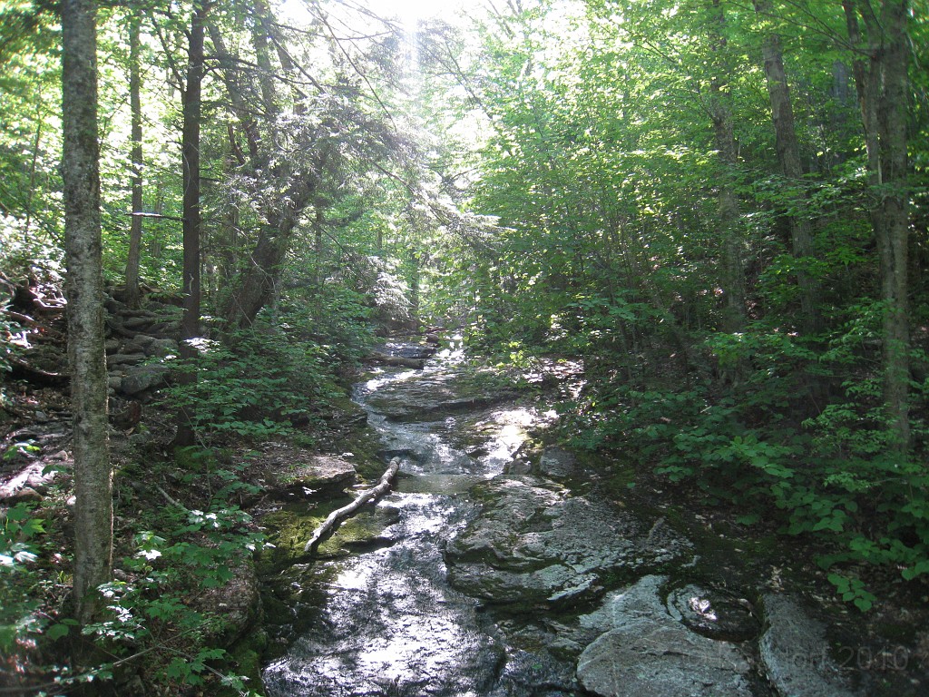 Mt Cardigan NH 2010 0095.jpg - Mt. Cardigan in New Hampshire. Summited on May 25, 2010. There are numerous trails to the peak... I had to pick the extremely difficult one. The views were worth it.